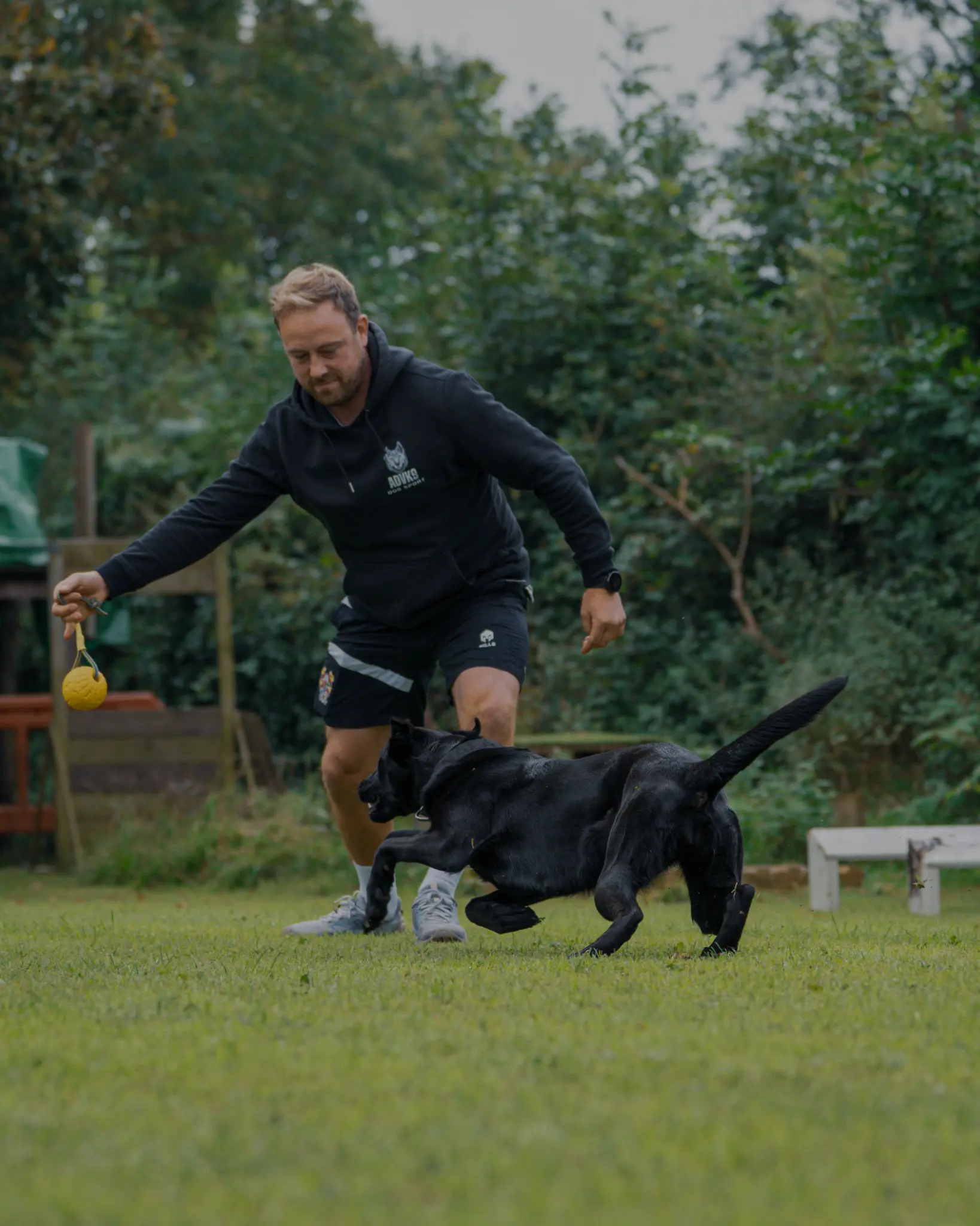 James working with a black dog outdoors using a yellow training ball.